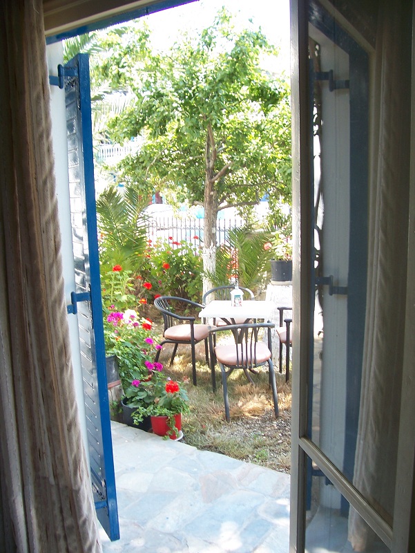 ΚΥΘΝΟΣ: ΦΟΙΝΙΚΑΣ ΚΥΘΝΟΥ